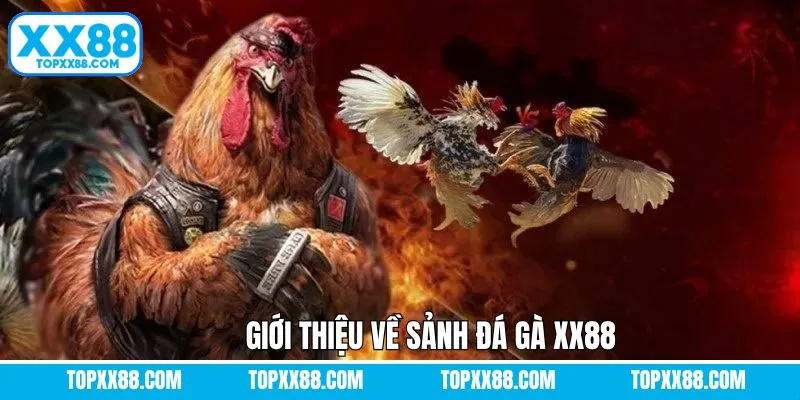 XX88 Bùng Nổ - Bí Mật Sân Chơi Cá Cược Đỉnh Cao